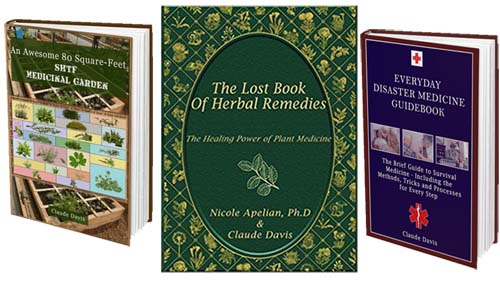 The Lost Book Of Remedies Review