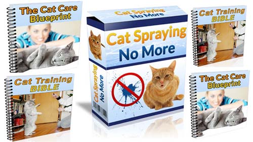 Cat Spraying No More Review