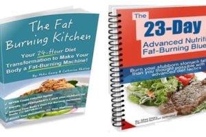 The Fat Burning Kitchen Review