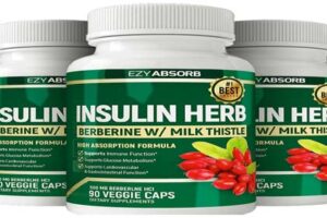 Insulin Herb Review