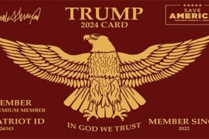 Red Trump Cards Review