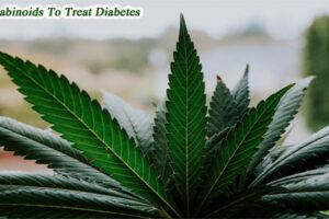 Cannabinoids To Treat Diabetes