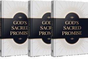 God's Sacred Promise Review