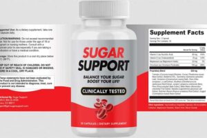 Sugar Support Review