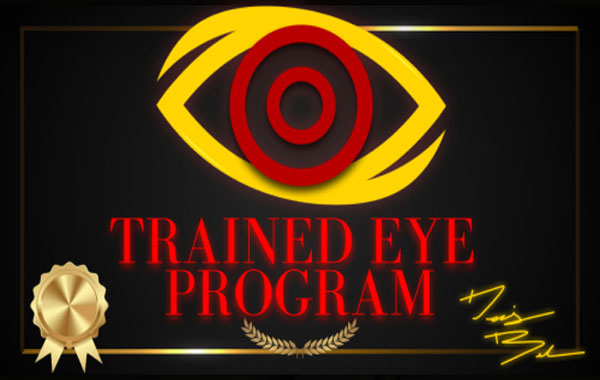 Trained Eye Program Review